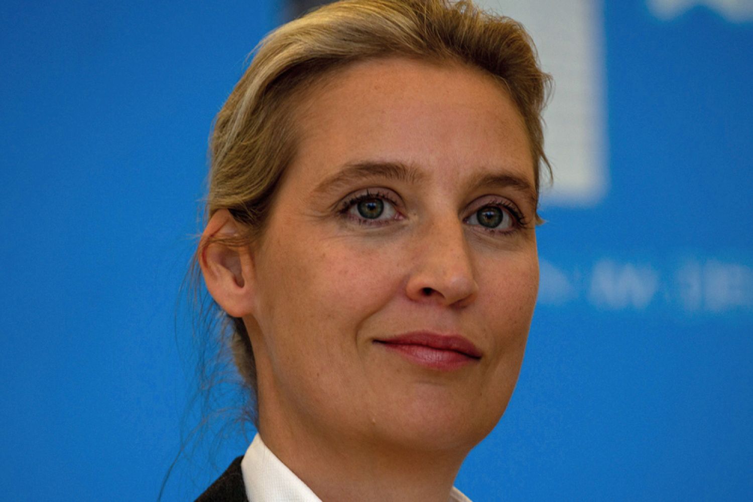 Porträt AfD-Chefin Alice Weidel